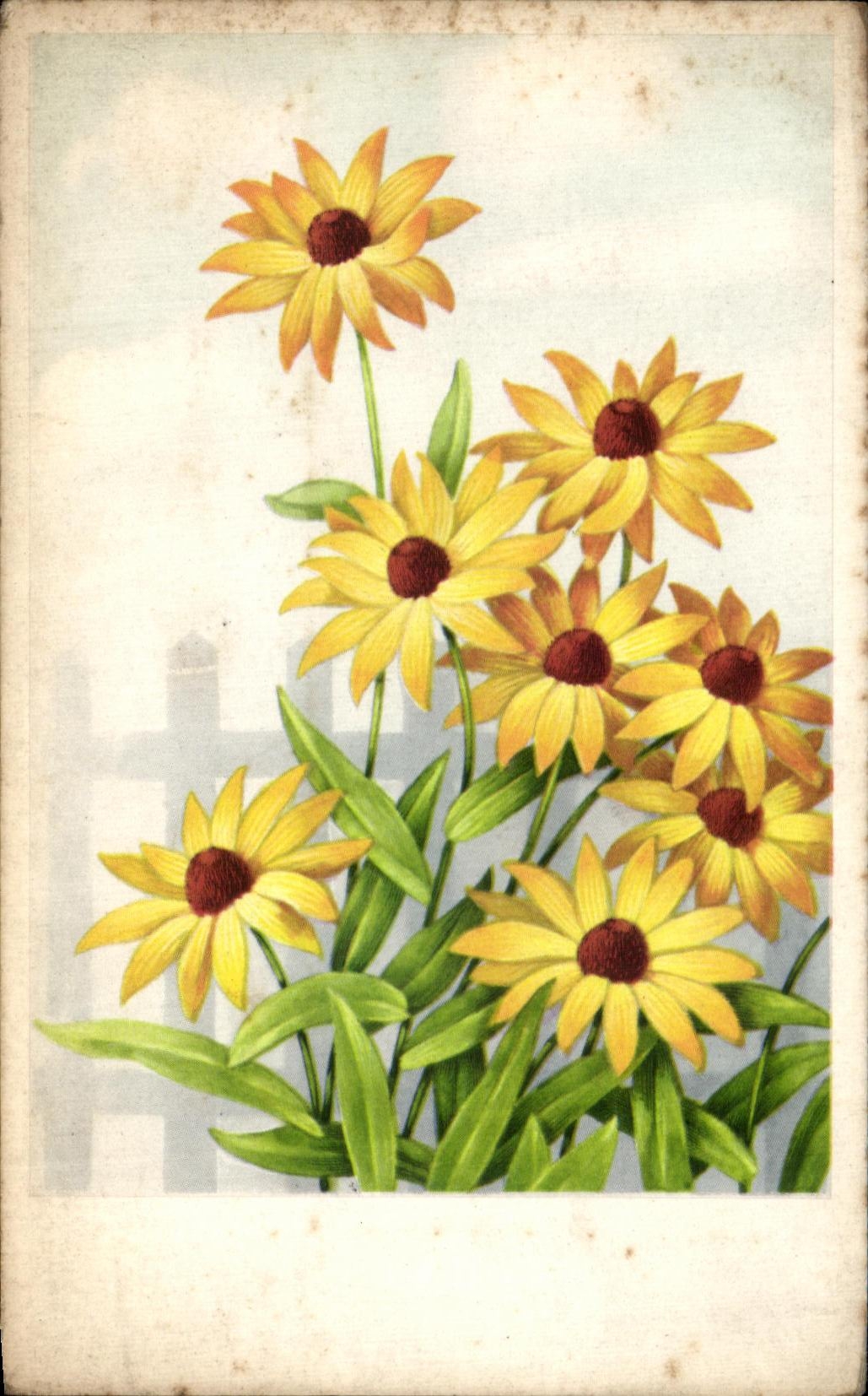 Flores de la fantasia de CPA