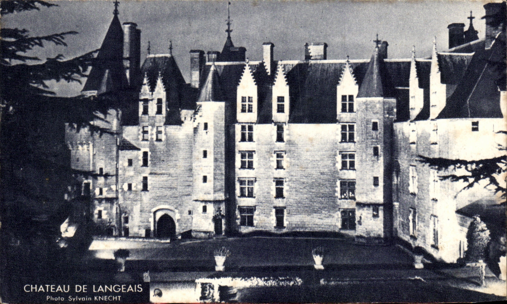 CPA Castle De Langeais