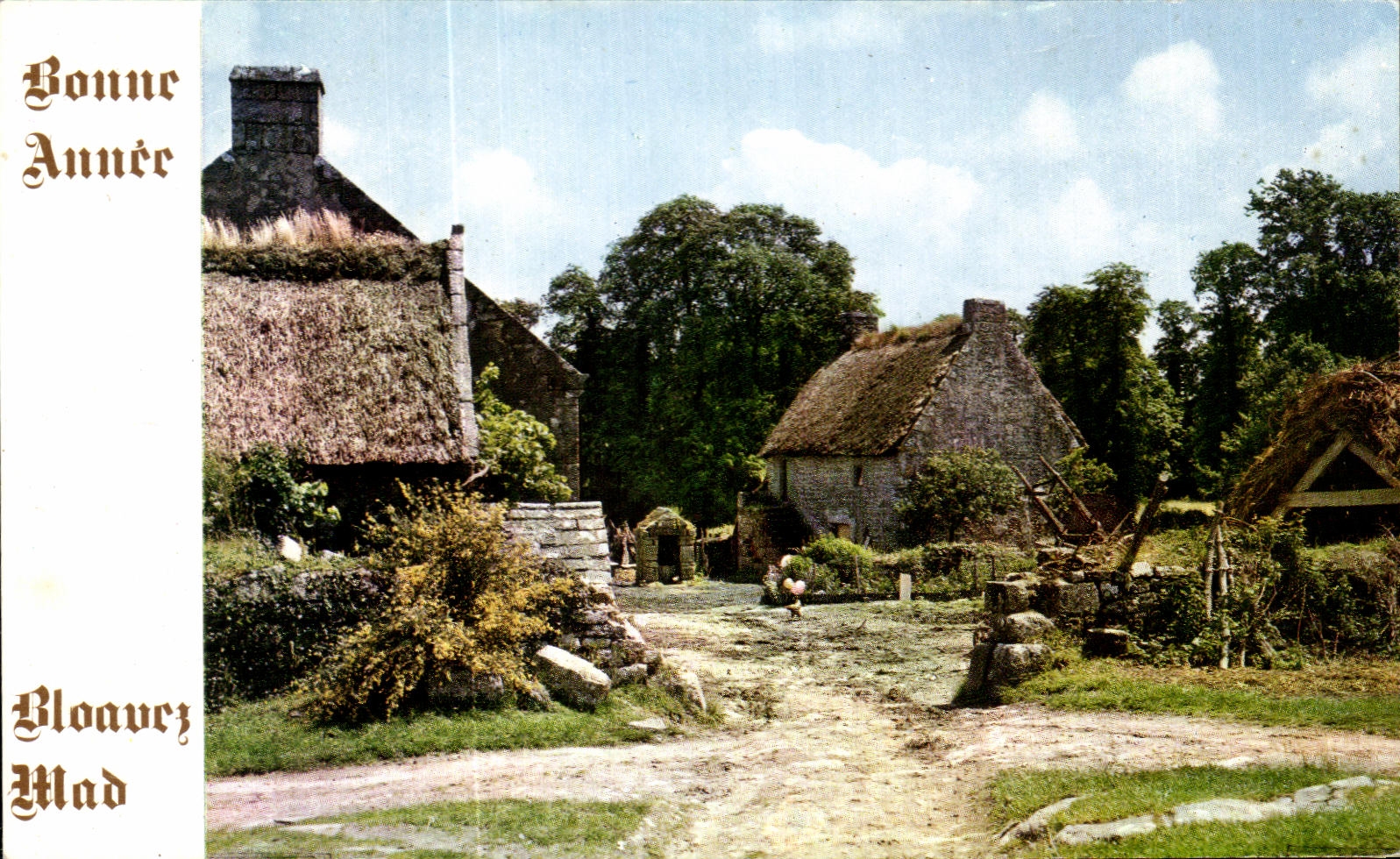 CPA Bonne Annee Bretagne 