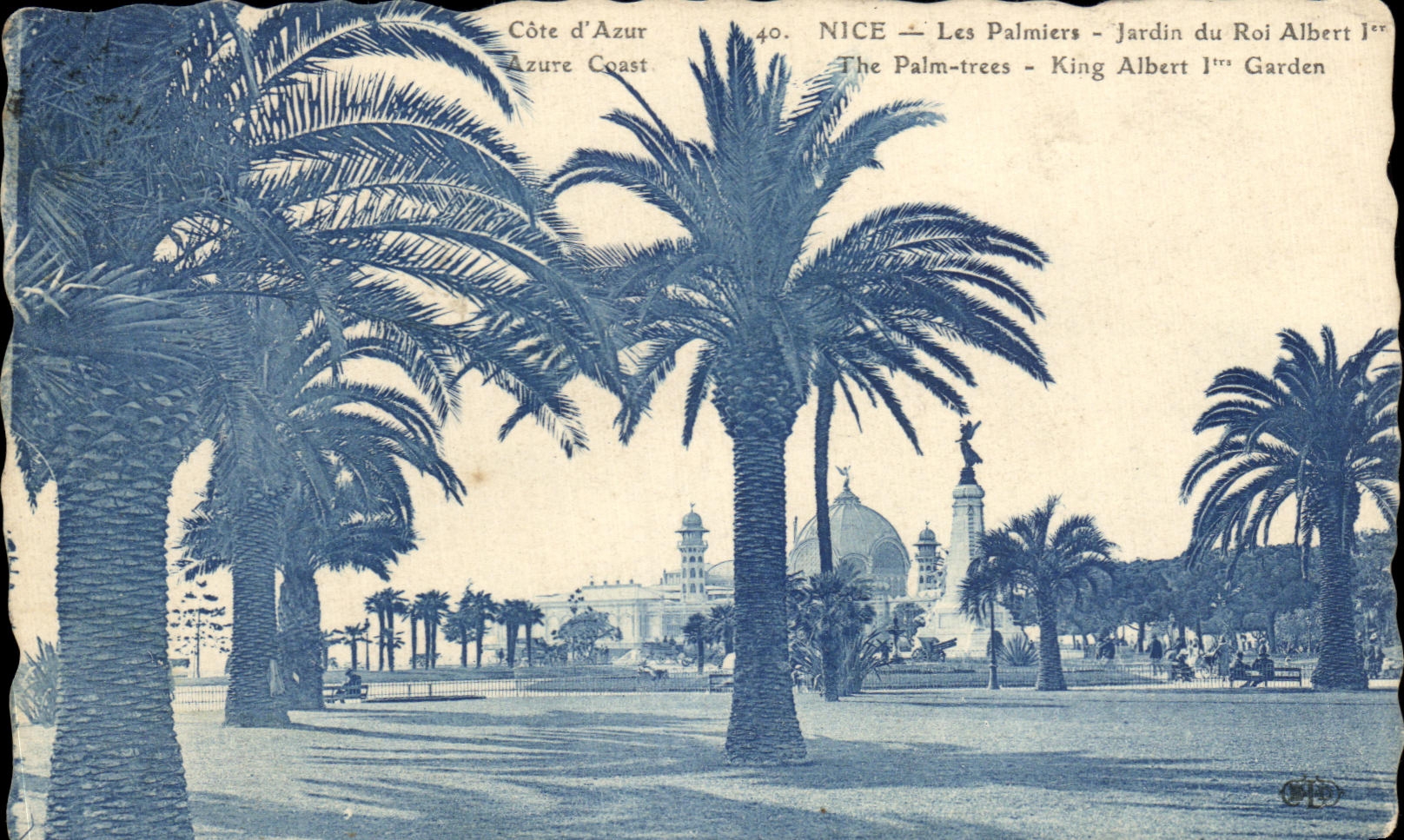 CPA Nice Les Palmiers Jardin du Roi Albert 1er