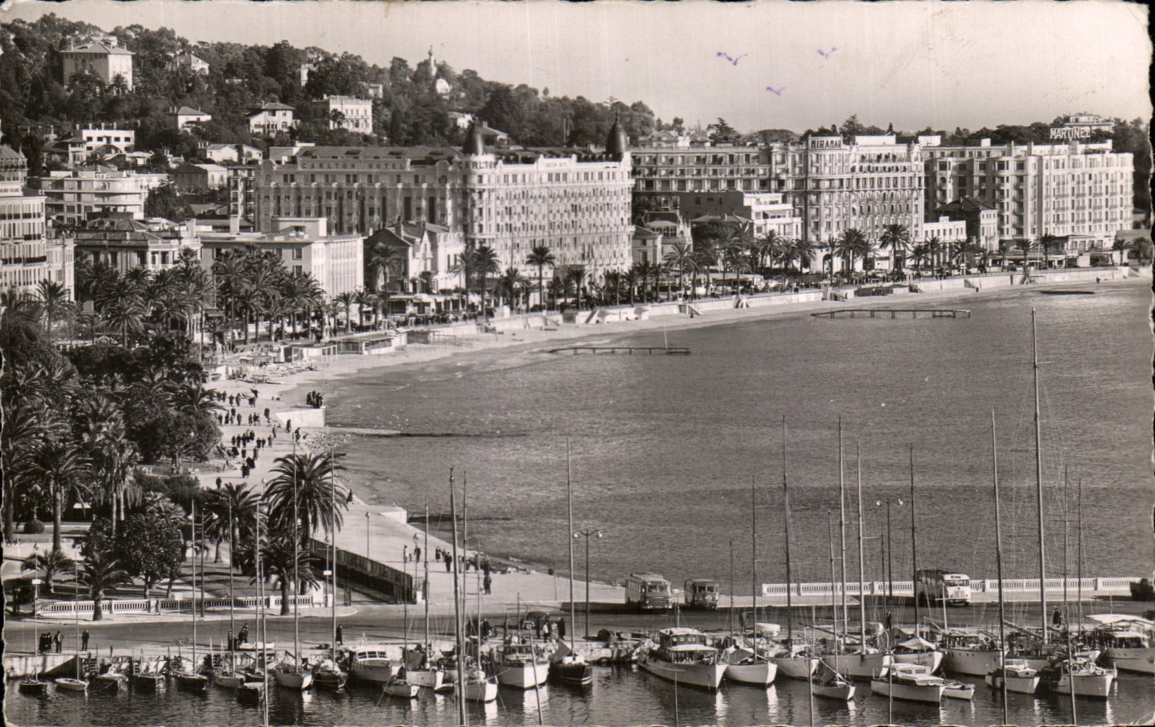 CPA Cannes the Port the Small cross and large hotels