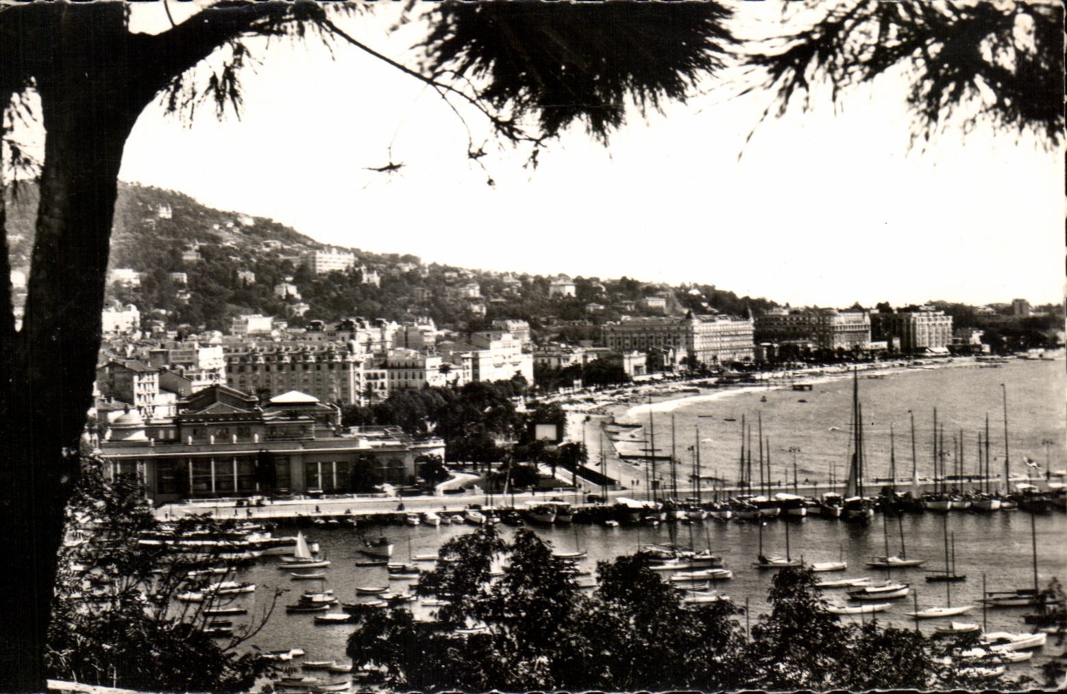 CPA Cannes Seen of the Casino and the Port