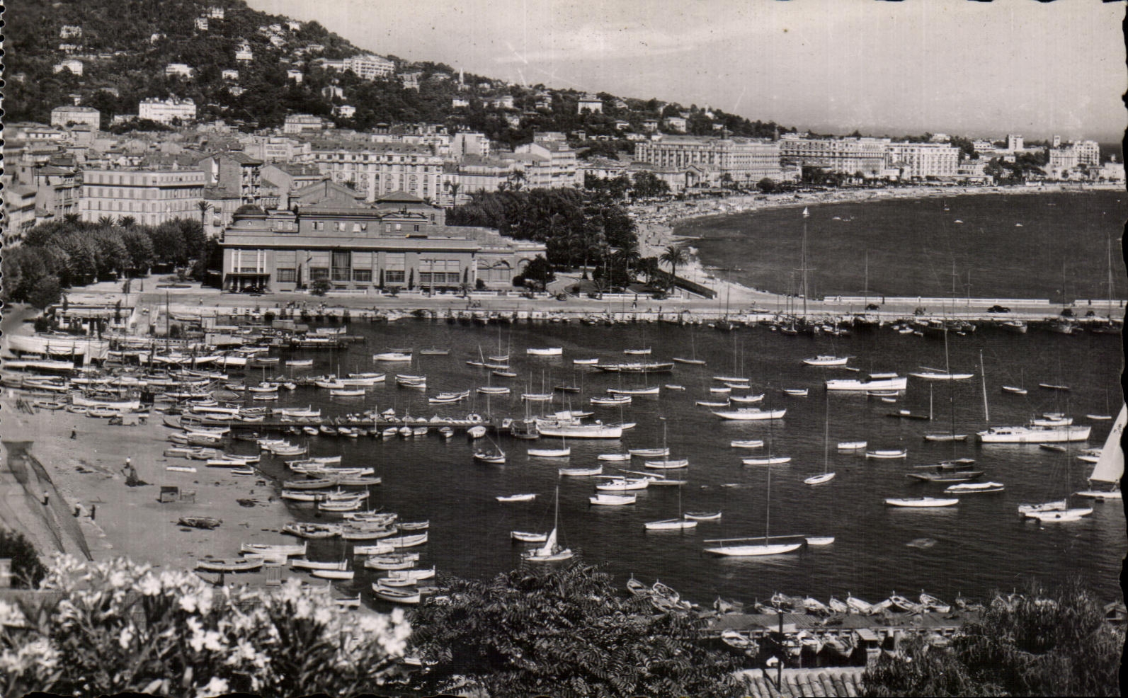 CPA the Dimension of Cannes Azure View taken of the Mount Knight