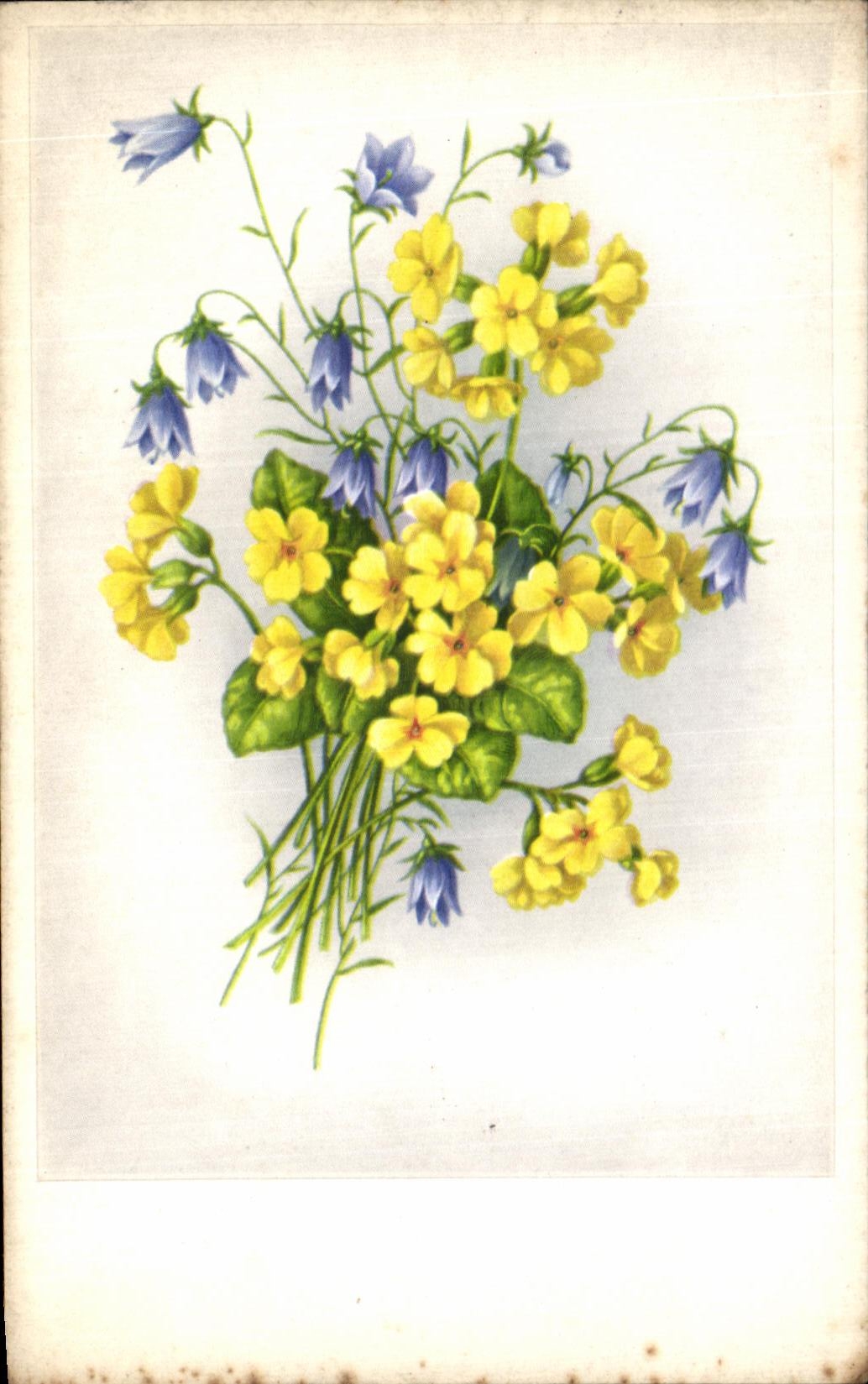 Nino de la fantasia de CPA