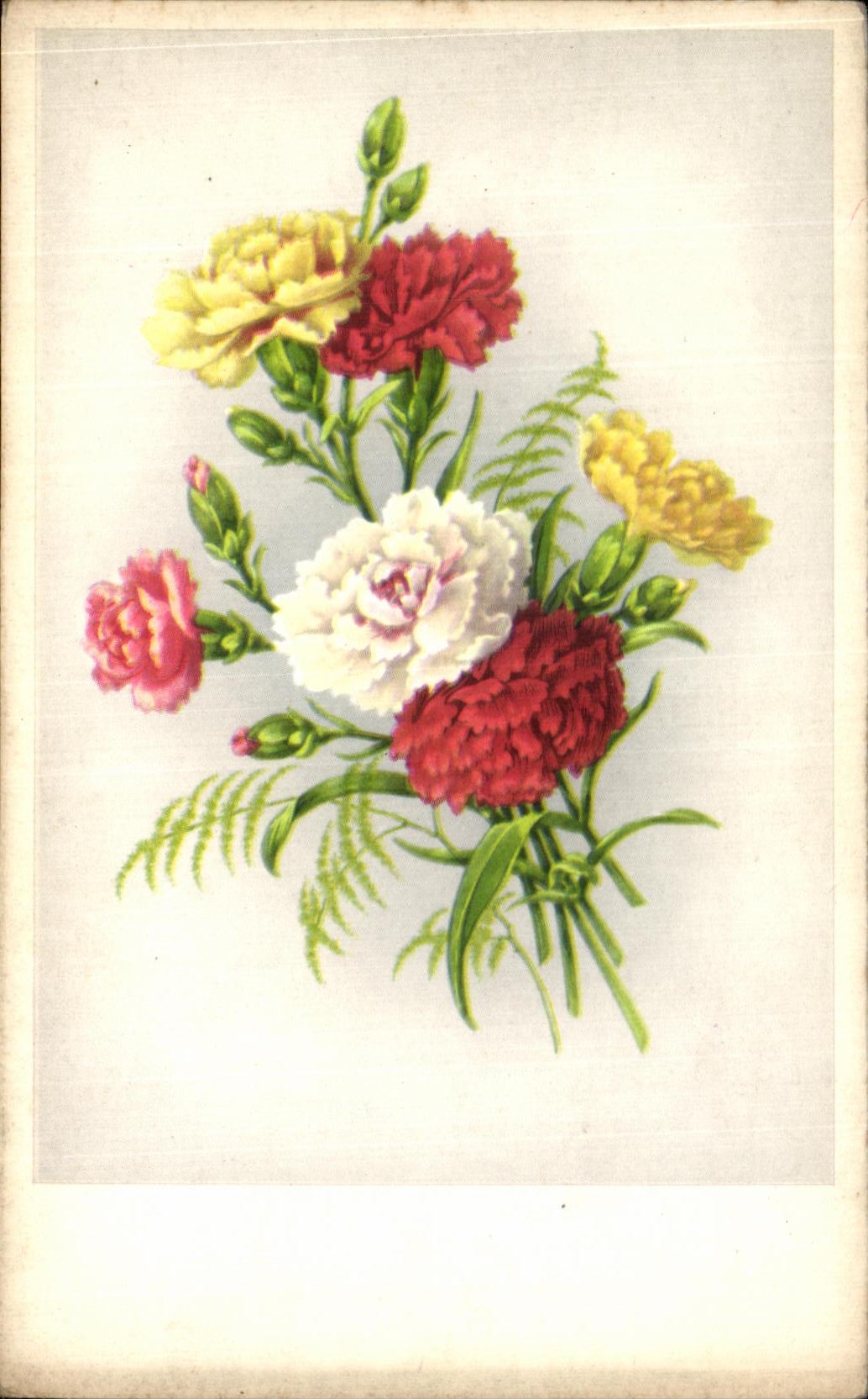 Flores de la fantasia de CPA