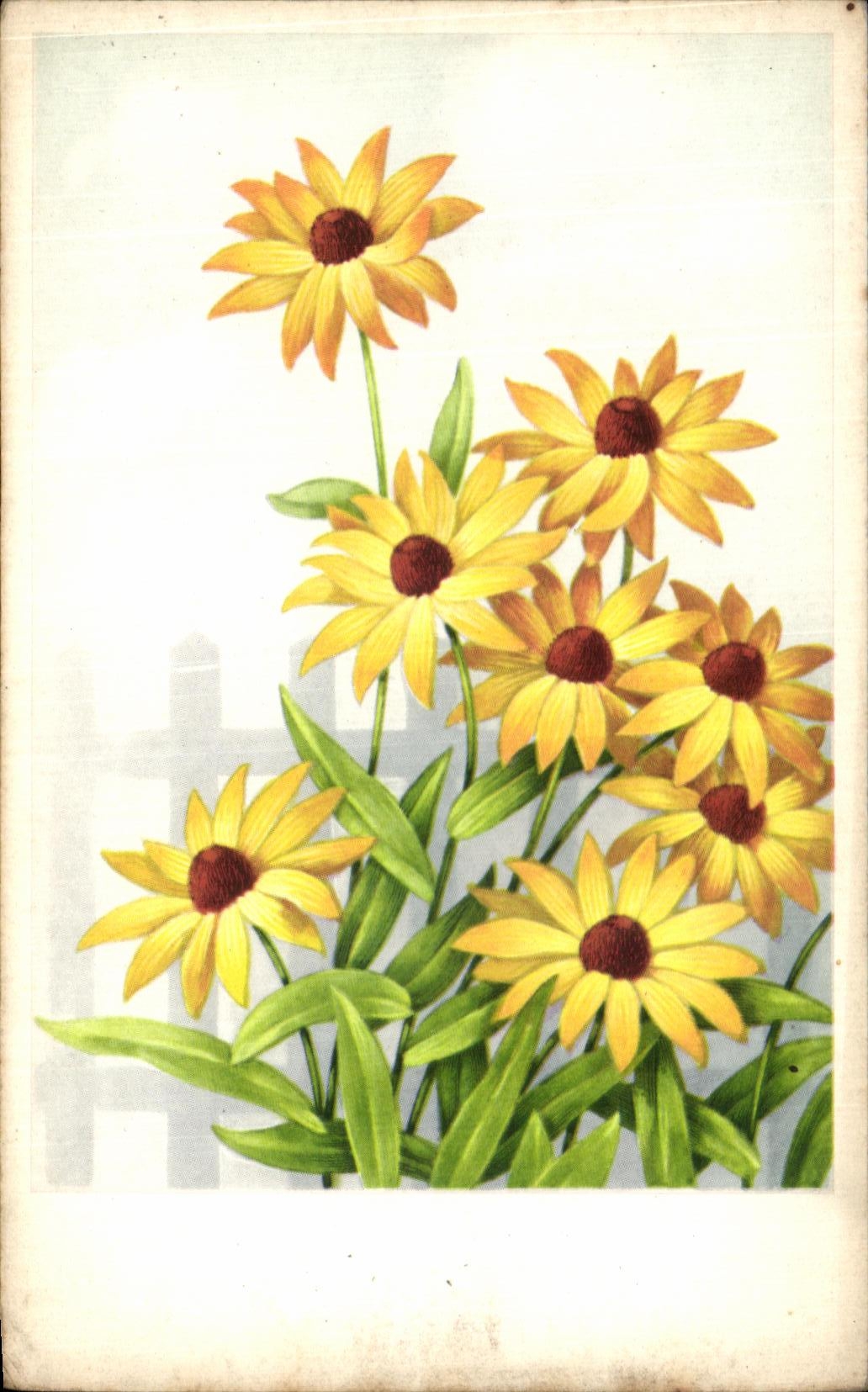 Flores de la fantasia de CPA