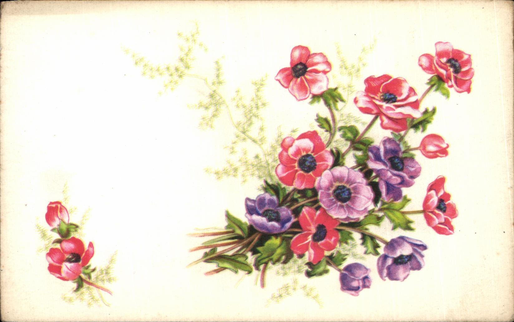 Flores de la fantasia de CPA