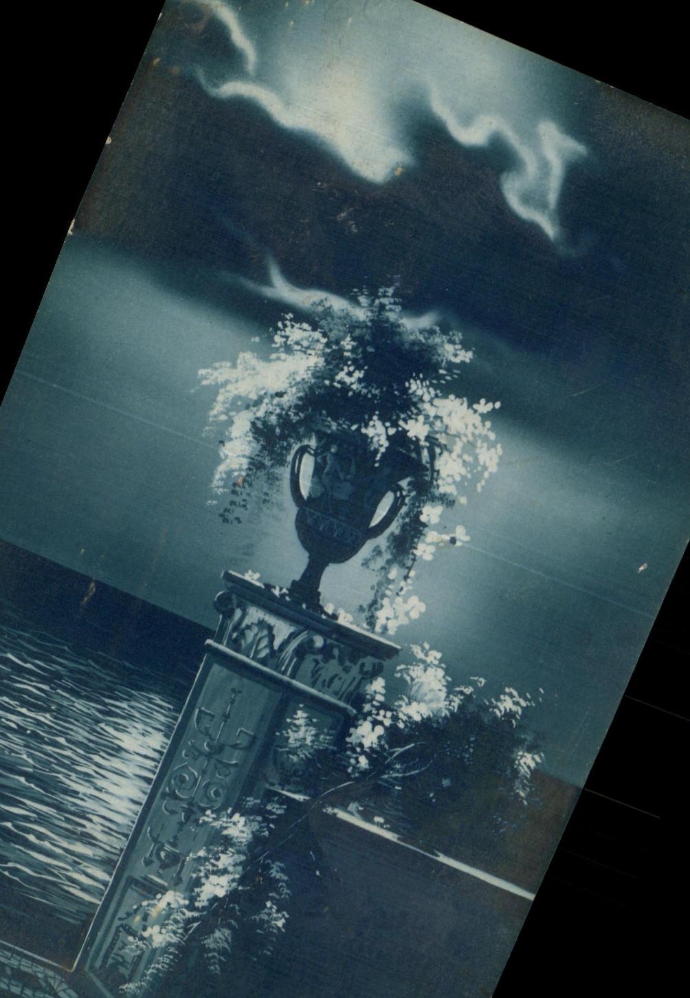 Flores de la fantasia de CPA