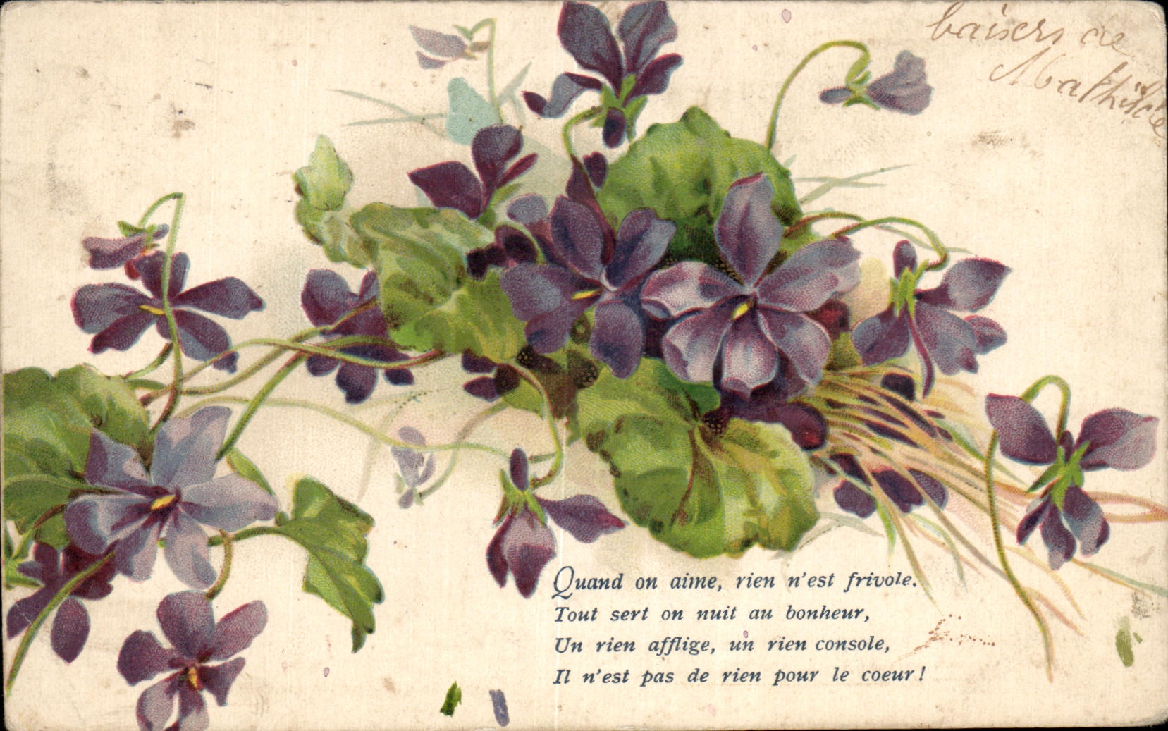 Flores de la fantasia de CPA