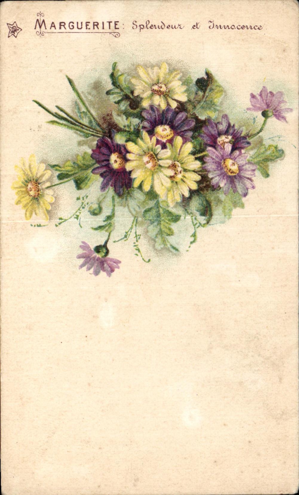 Flores de la fantasia de la margarita de CPA