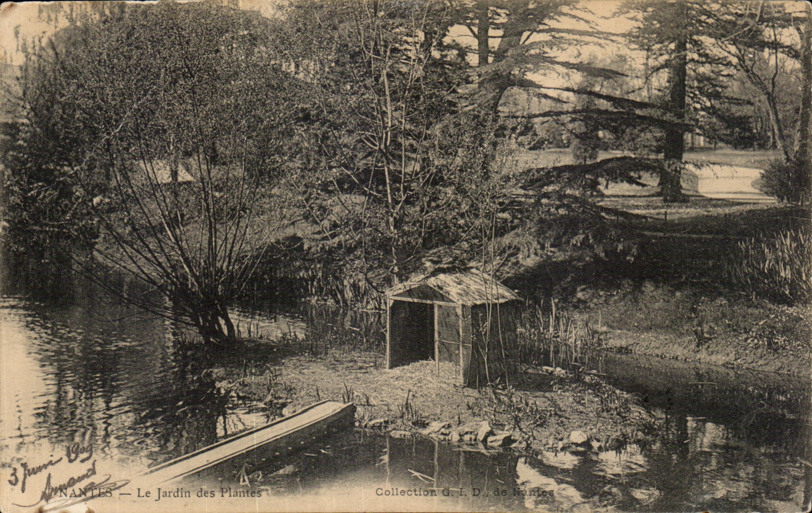 CPA Nantes the Botanical garden