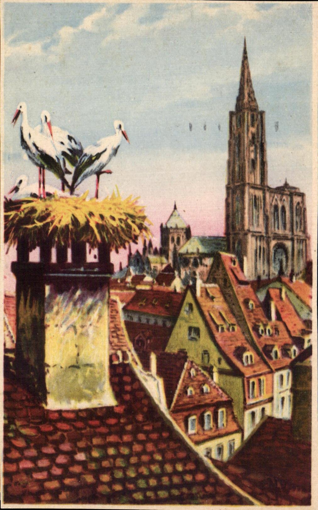 CPA Strasbourg Nest of Storks and the cathedral