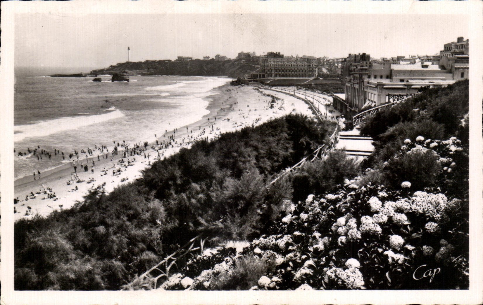 CPA Biarritz Les Hortensias et la Grande Plage