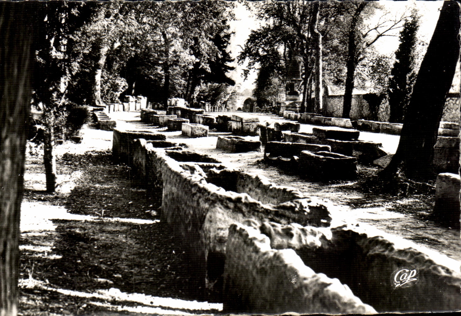 CPA Arles Alyscamps gone of the Tombs
