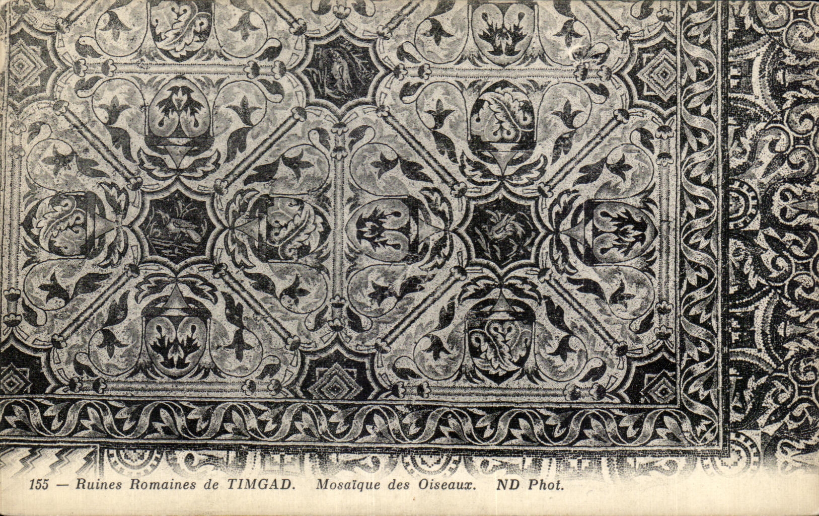 CPA Roman ruins deTimgad Mosaic of the Birds Algeria