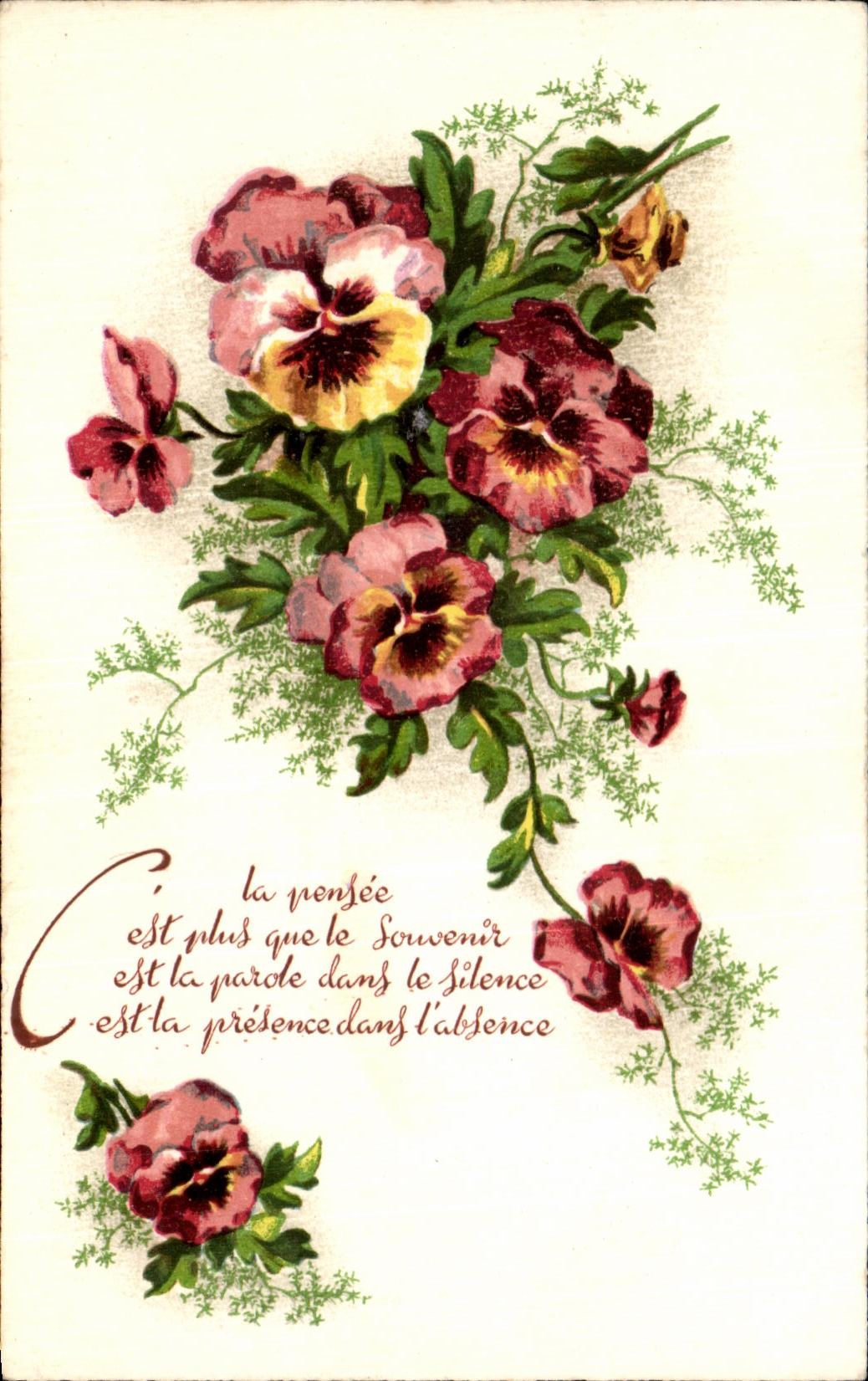 Flores de la fantasia de CPA