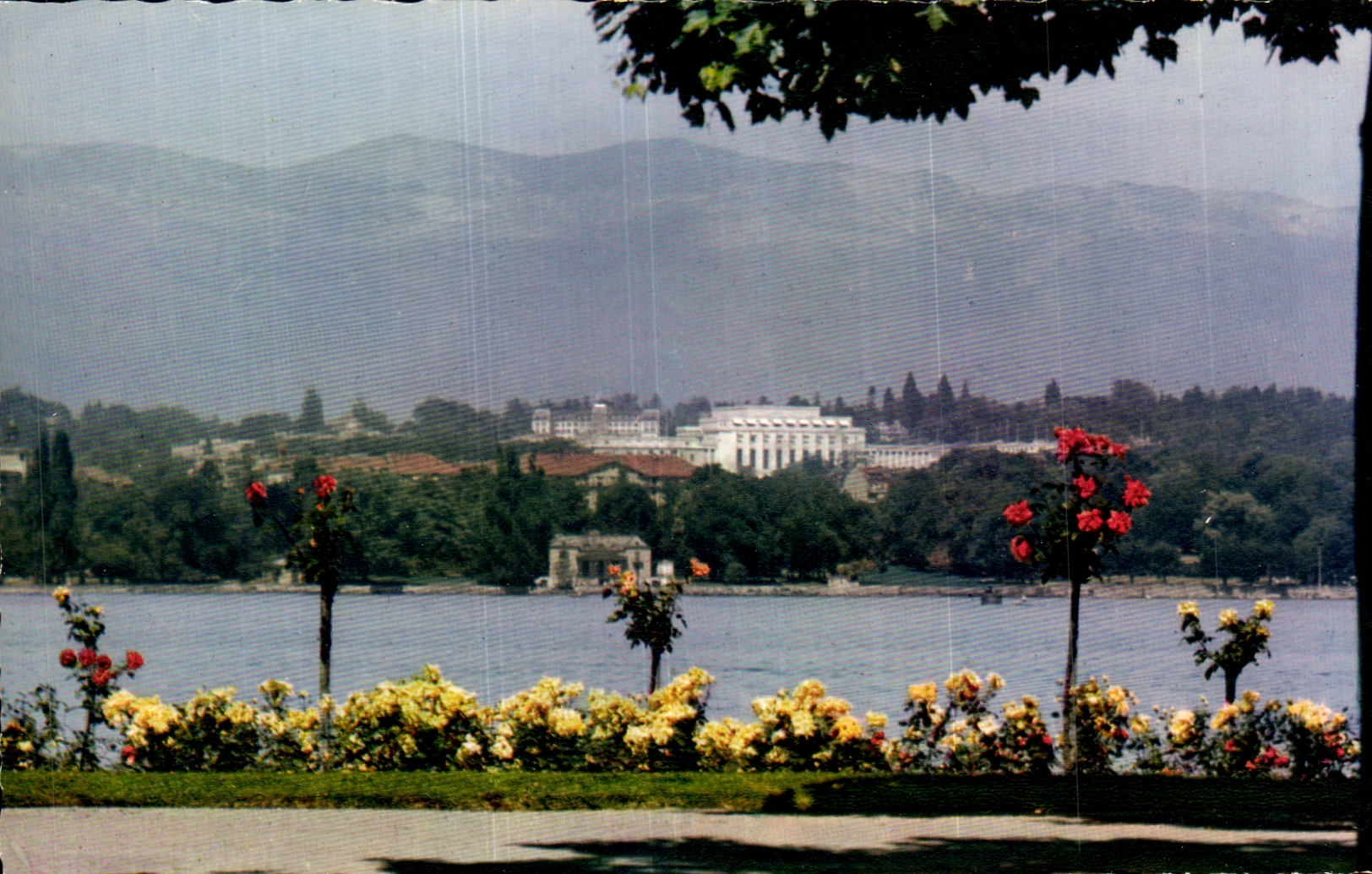 CPA Geneva flowered Quays and the Palate of the Nations