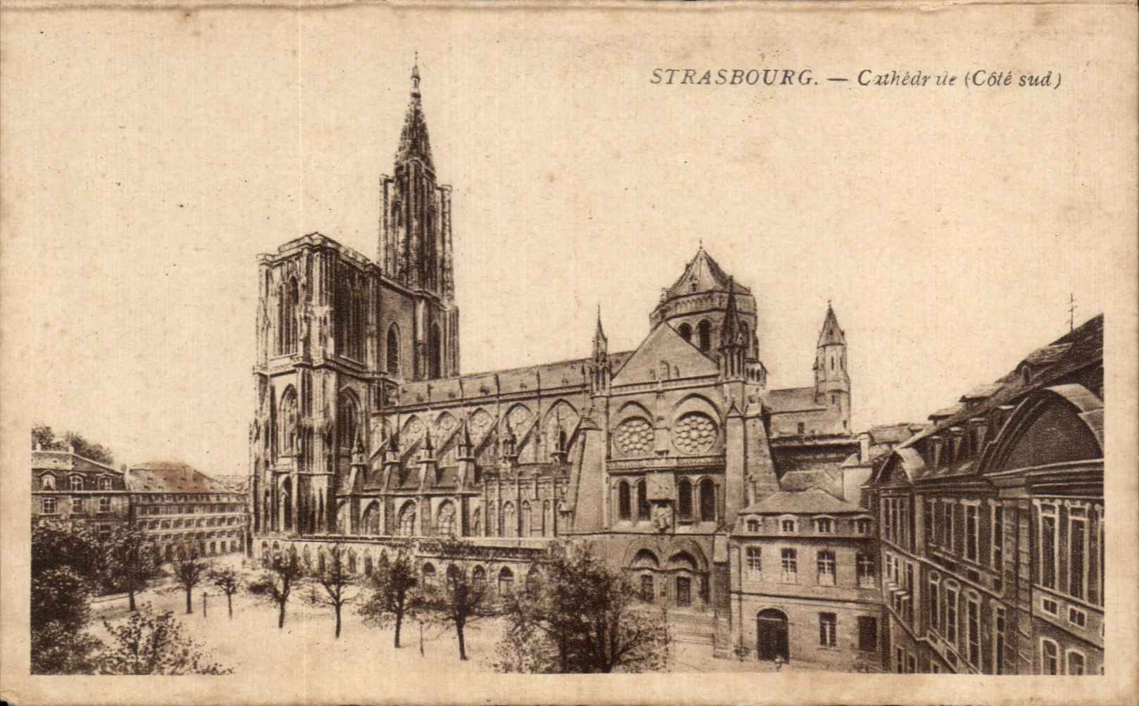 CPA Strasbourg Cathedral