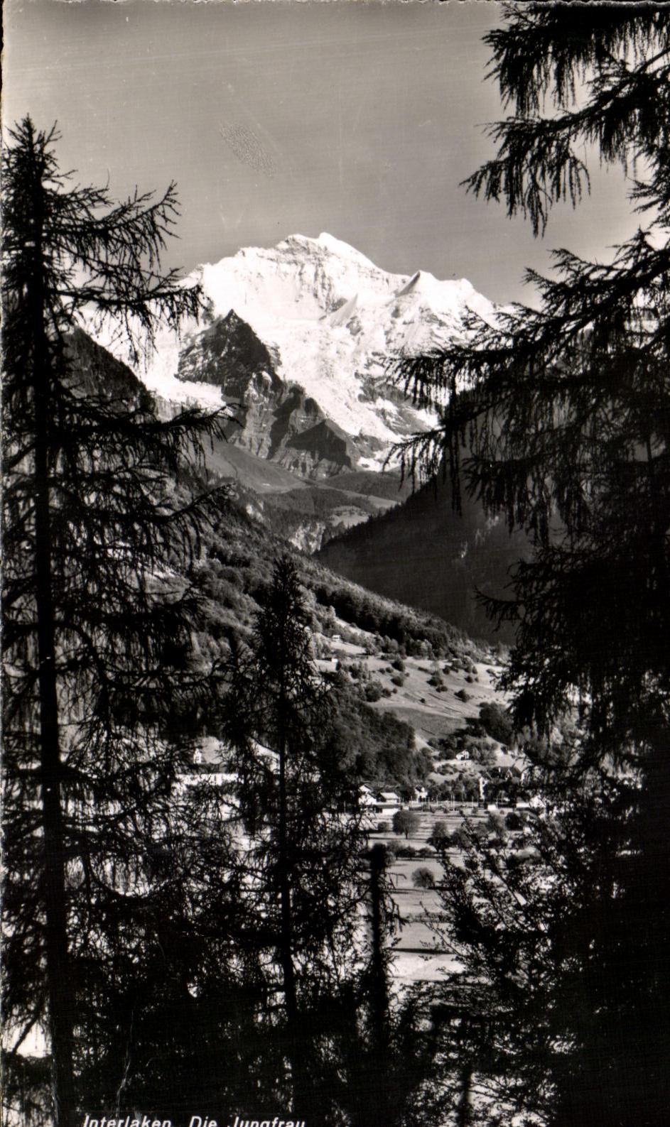 CPA Interlaken Die Jungfrau