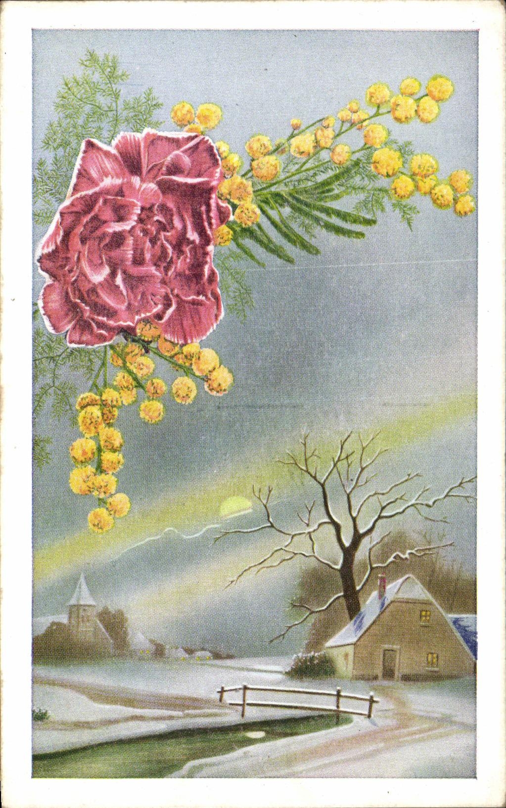 Flores de la fantasia de CPA