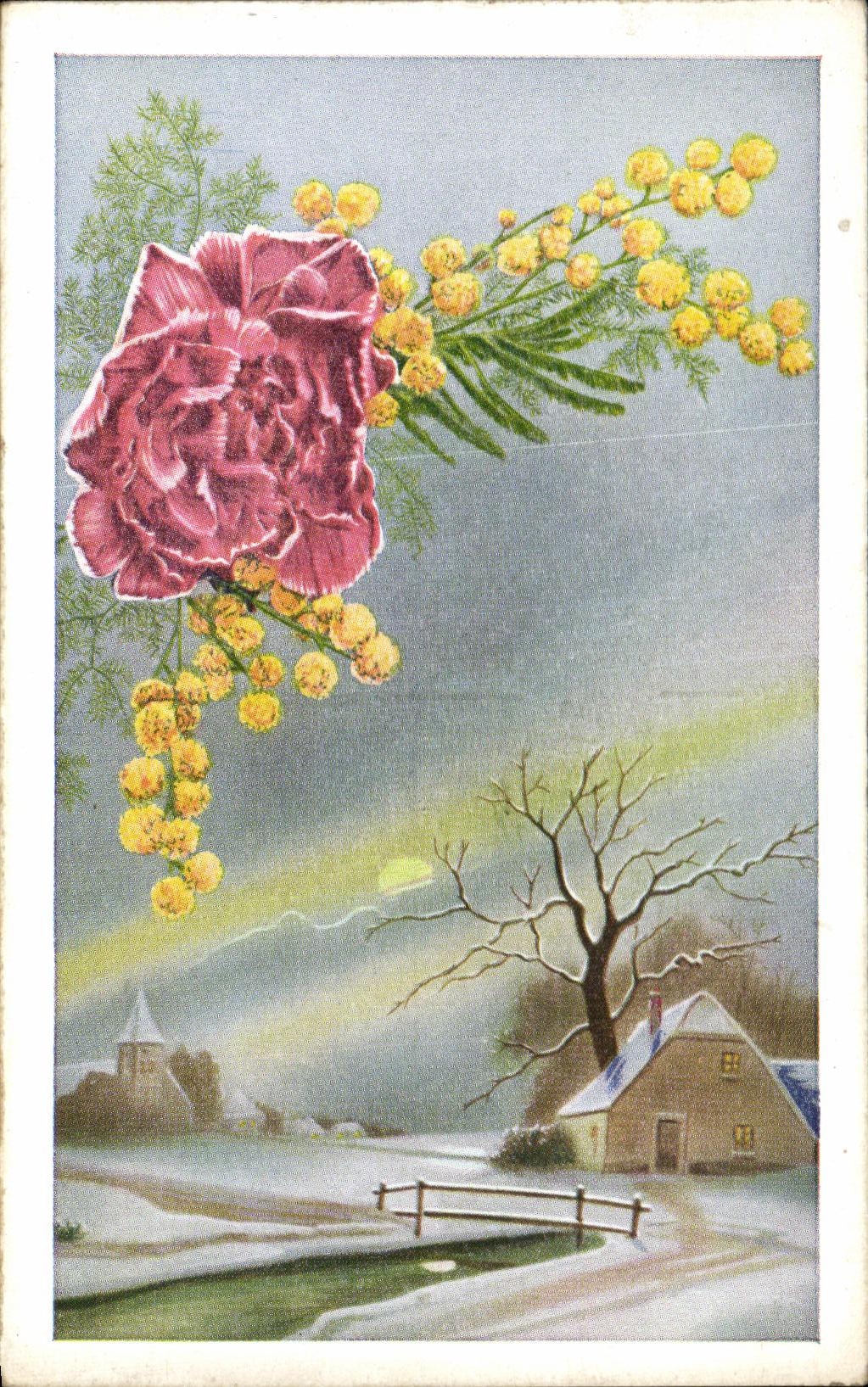 Flores de la fantasia de CPA