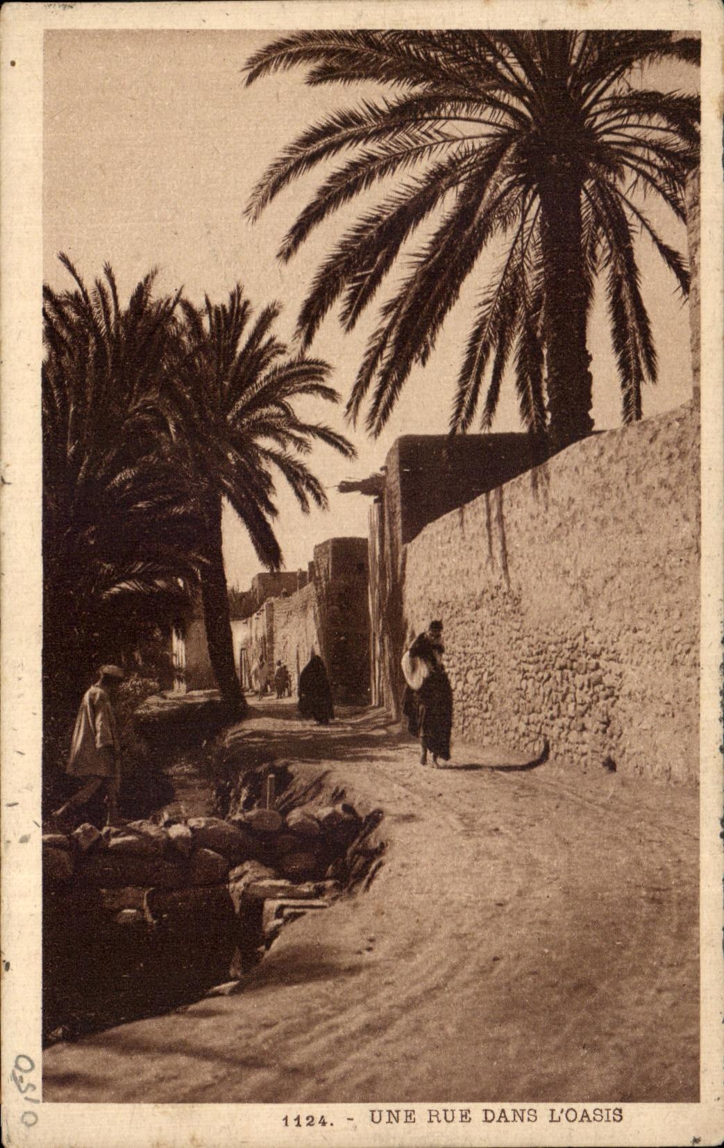 CPA Une Rue Dans L'Oasis