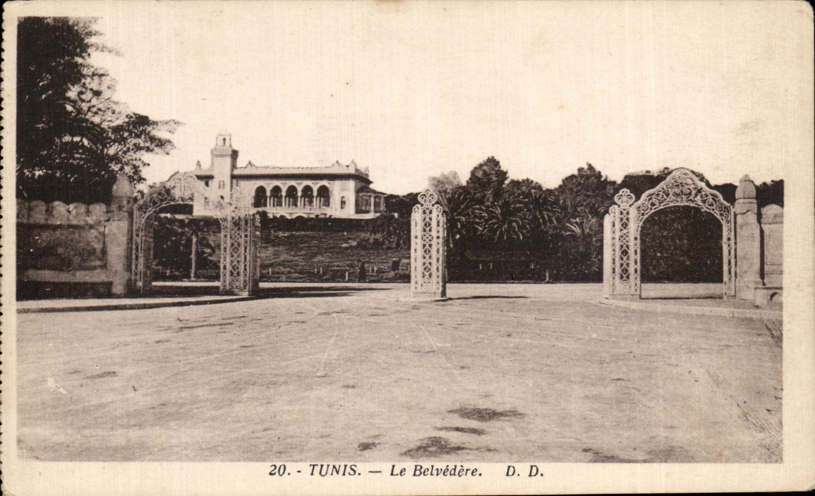 CPA Tunis the View-point