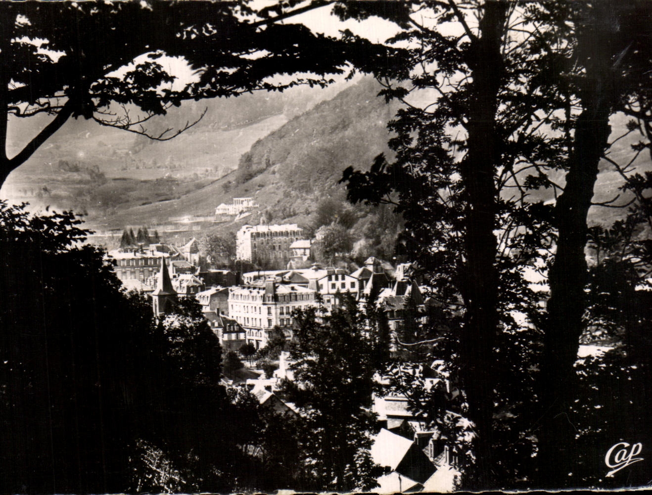 CPA the Mount Gilds through the trees