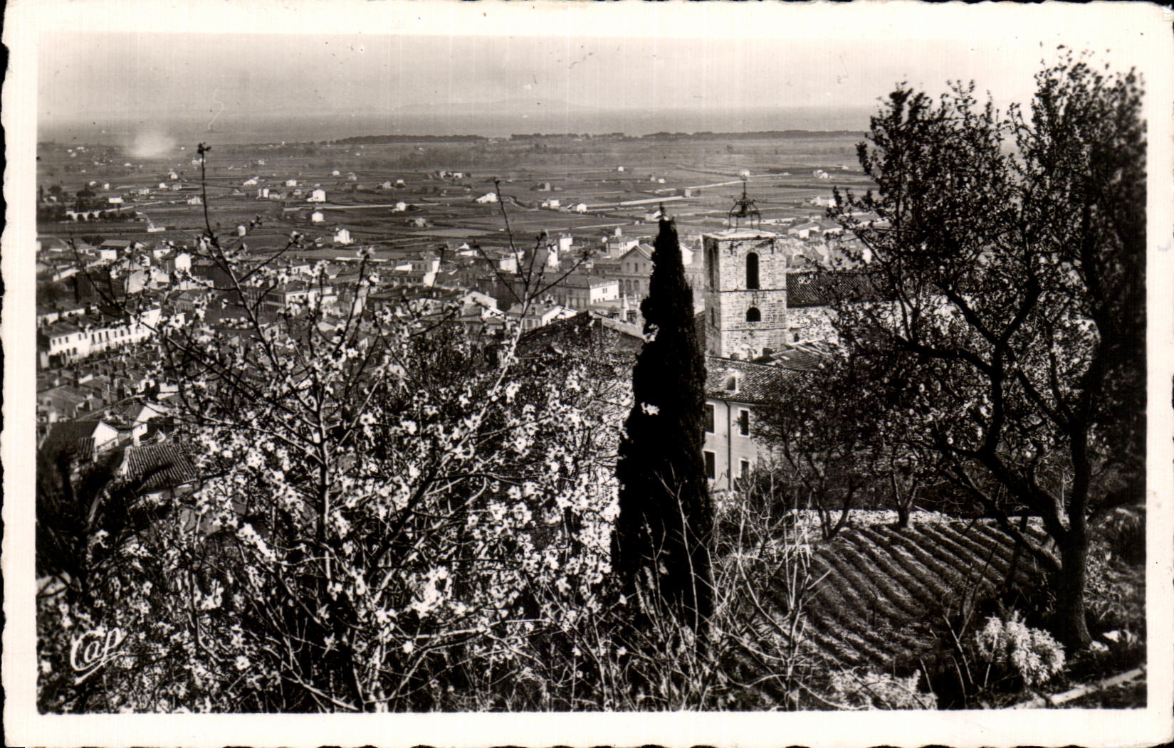 CPA Hyeres Vue Sur La Plaine