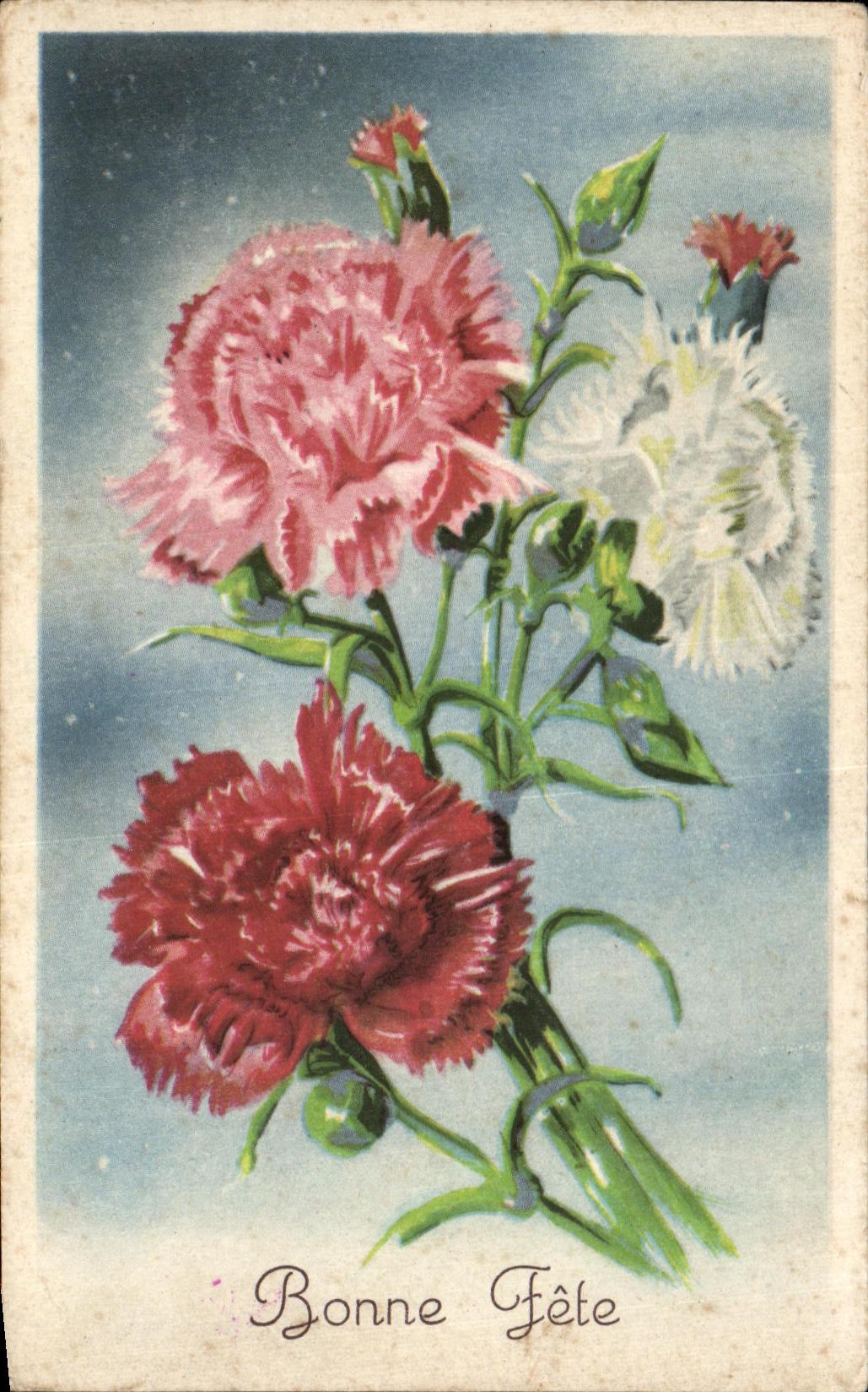 La fantasia de CPA florece buen festival