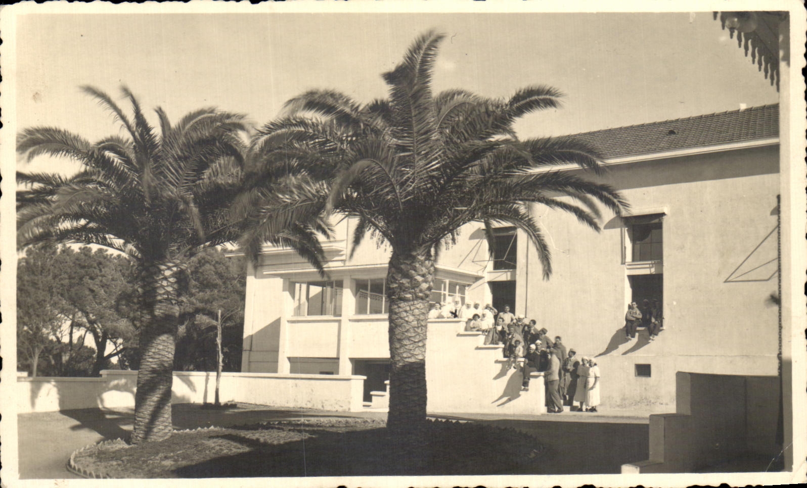 Real photo (nonlocalized)