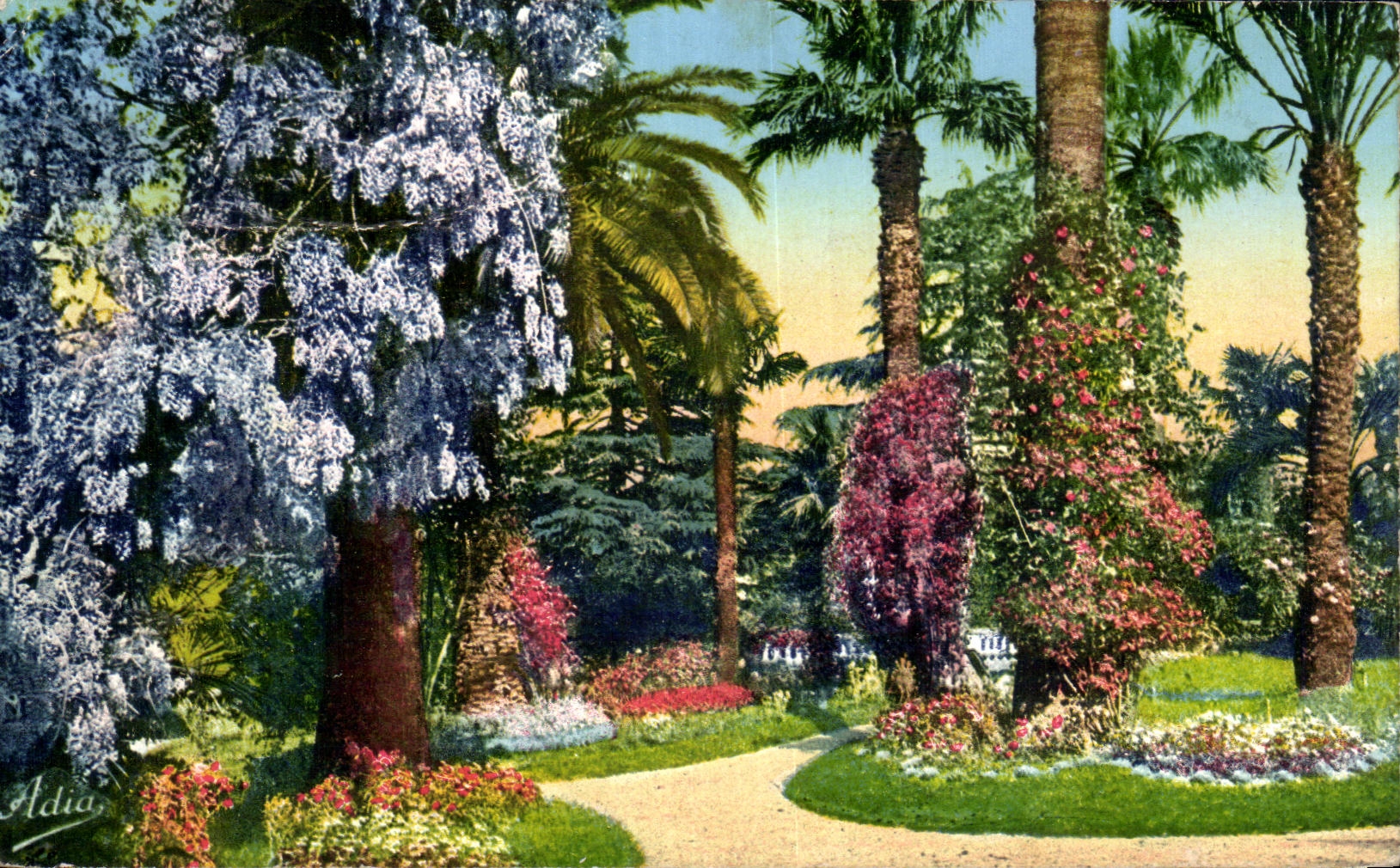 CPA la dimension del azul florecio el jardin