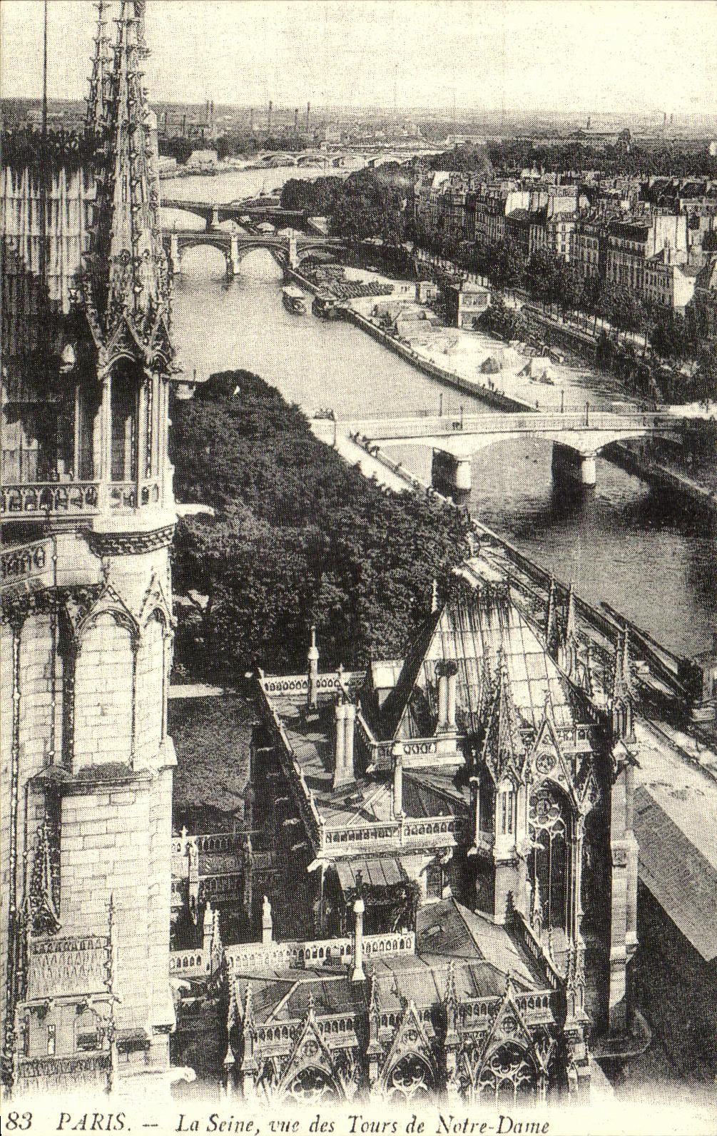 REPRO Paris La Seine vue Des Tours De Notre Dame