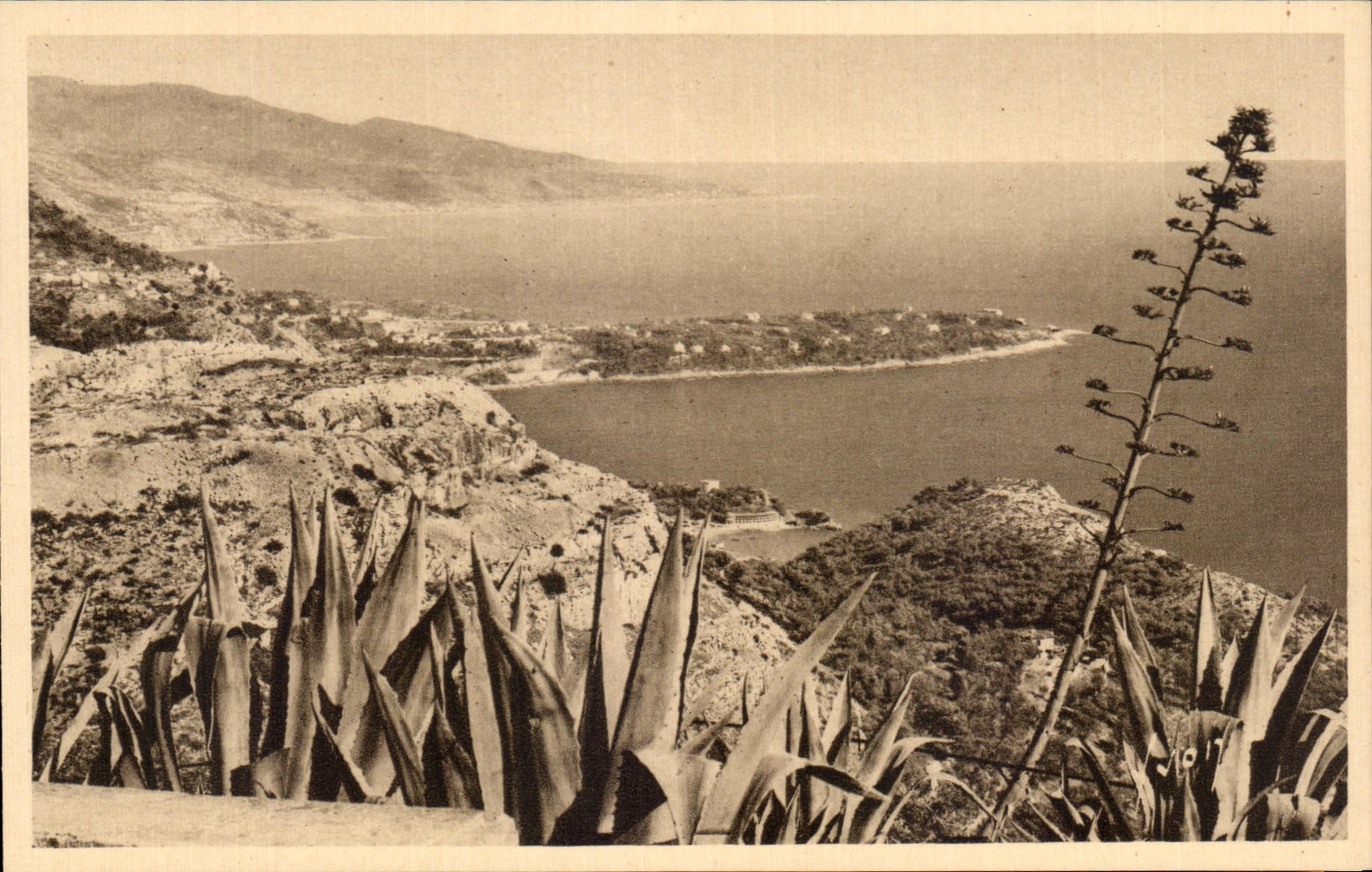 CPA Dimensions Azure the Cape Martin seen Of the Round Not Of Turbie