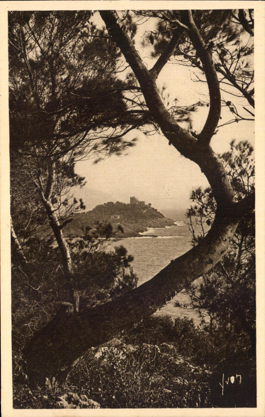 CPA La Cote d'Azur Le Cap Ferrat Vu A Travers Les Pins d'Alep