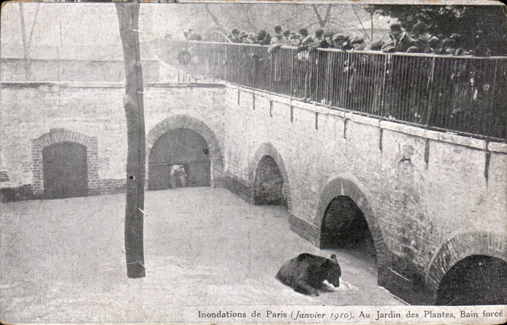 CPA Inondations of bets to the botanical garden bath forces Ours