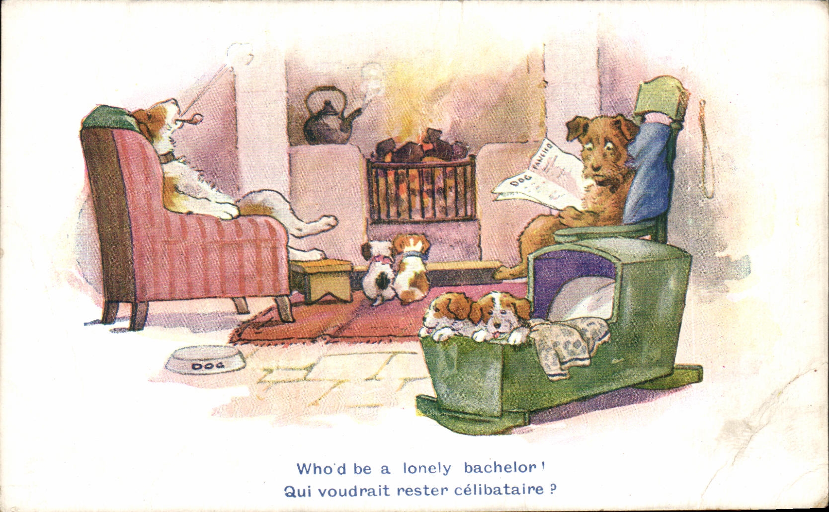 CPA Who D Be has lonely bachelor which would like to remain unmarried Chiens Humor