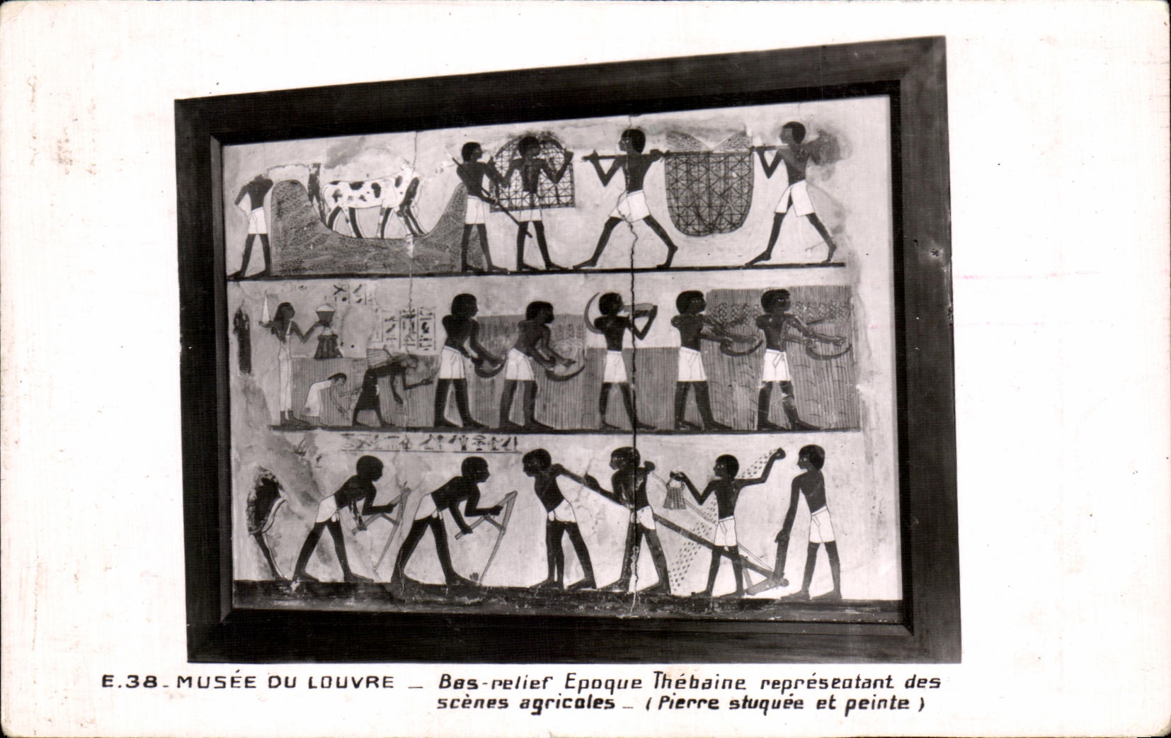 Museo de CPSM de la representacion de la tebaina del tiempo del pelief de Bes del Louvre de las escenas agricolas Egipto Egipto