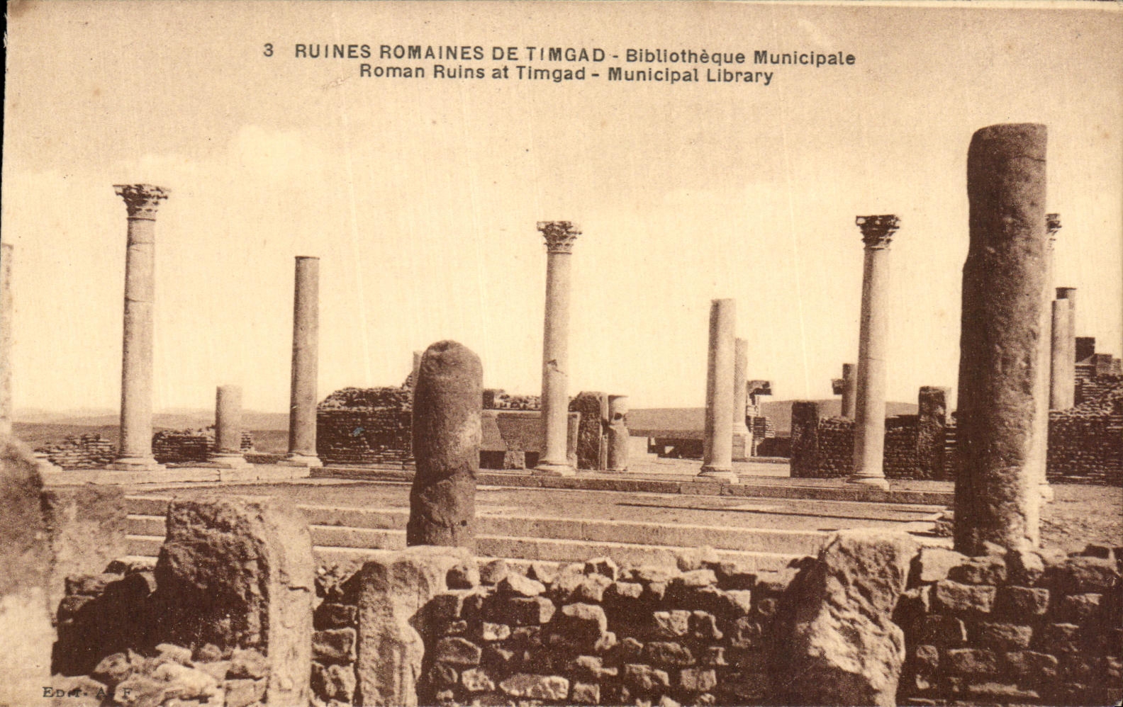 CPA Ruines Romaines De Timgad Bibliotheque Municipale Algerie