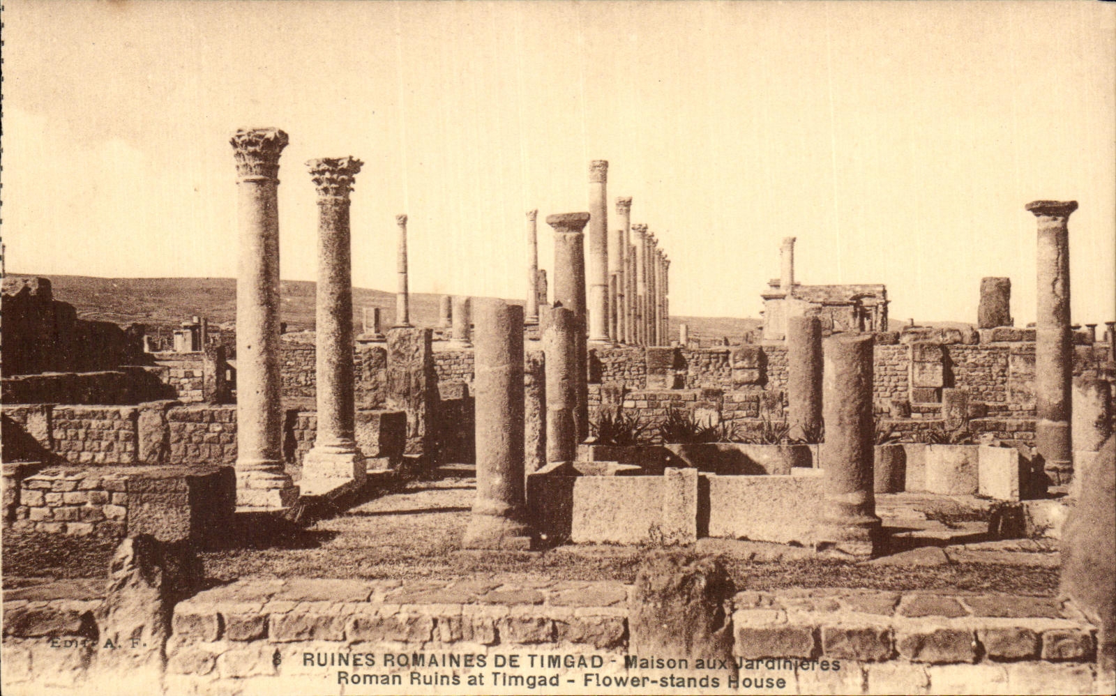 CPA Ruines Romaines De Timgade Maison aux Jardineres Roman Ruins at Timgad
