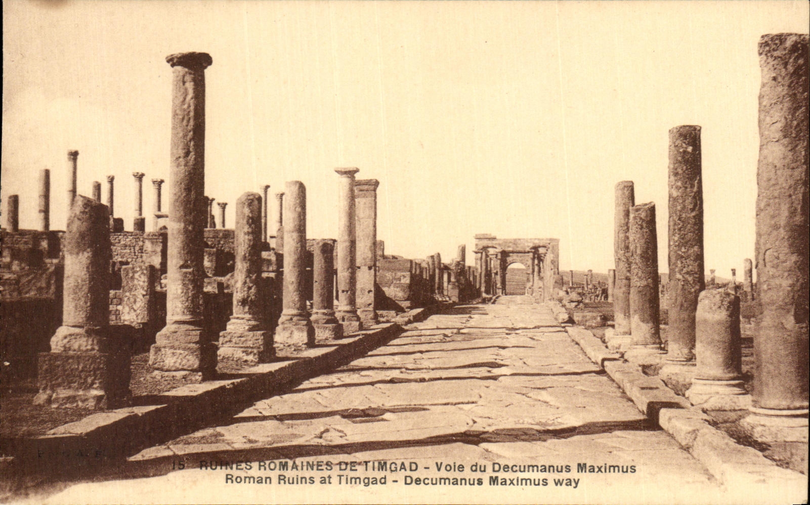 CPA Ruines Romaines De Timgad Vole du Decumanus Maximus Roman Ruins at Timgad Decumanus Maximus way