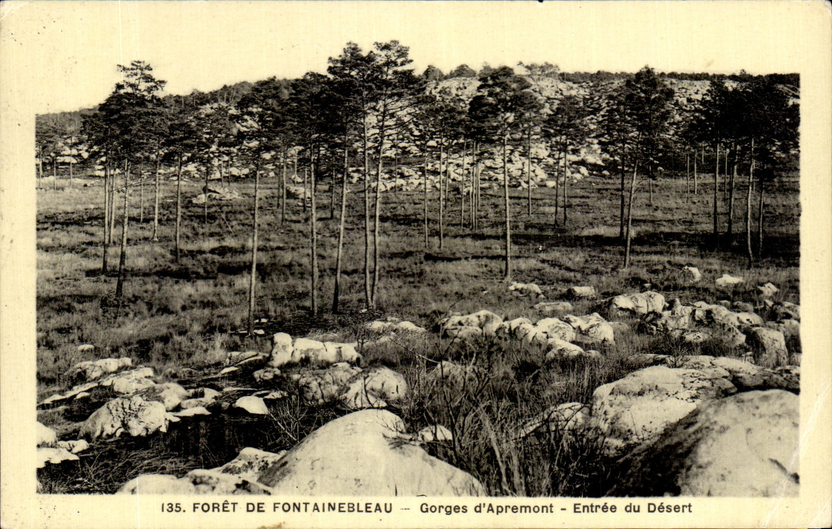 CPA Foret De Fontainebleau Gorges of Apremont Entree of Serves