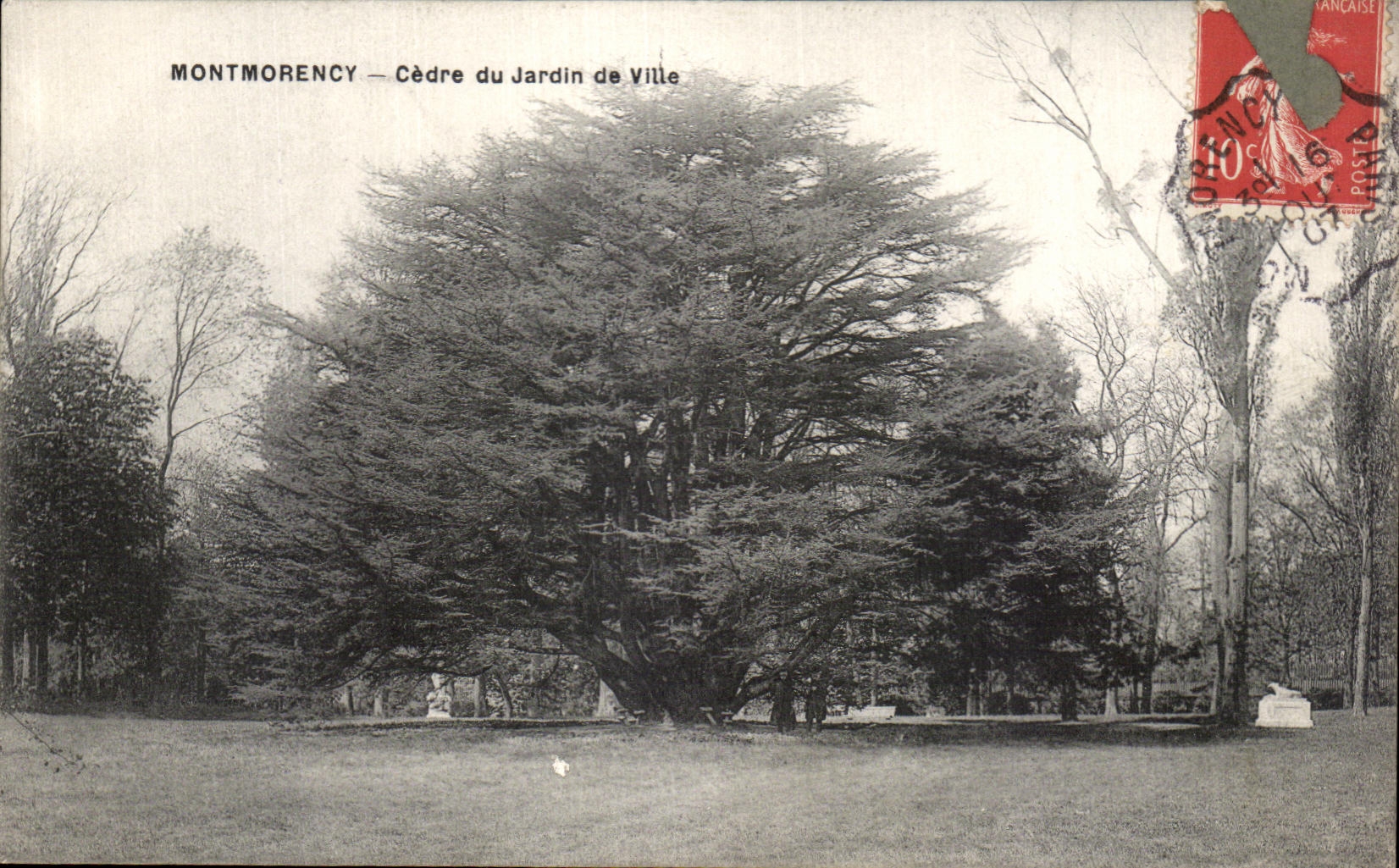 CPA Montmorency Cedar of the Garden of City