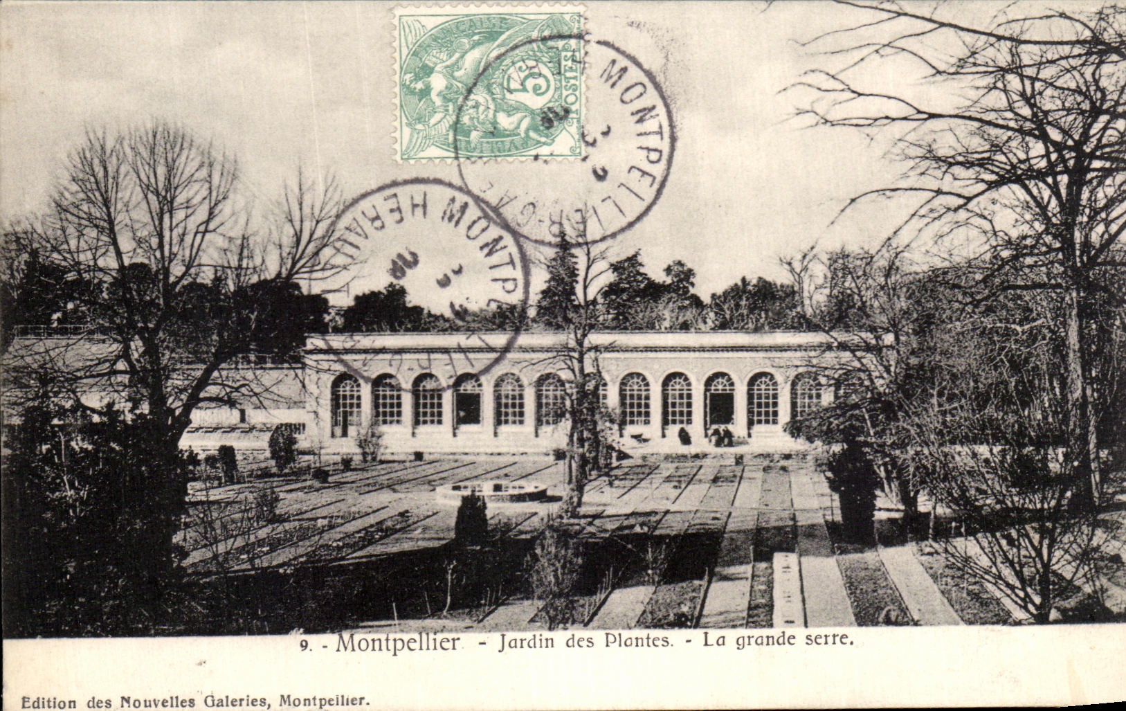 CPA Montpellier Jardin des Plantes La grande Serre
