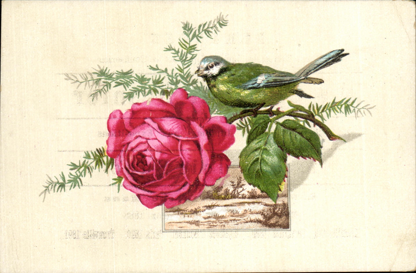 La calle de Besnier Langlois del chocolate de Publcite del pajaro de las rosas de las flores de la fantasia de CPA de las ovejas sirve