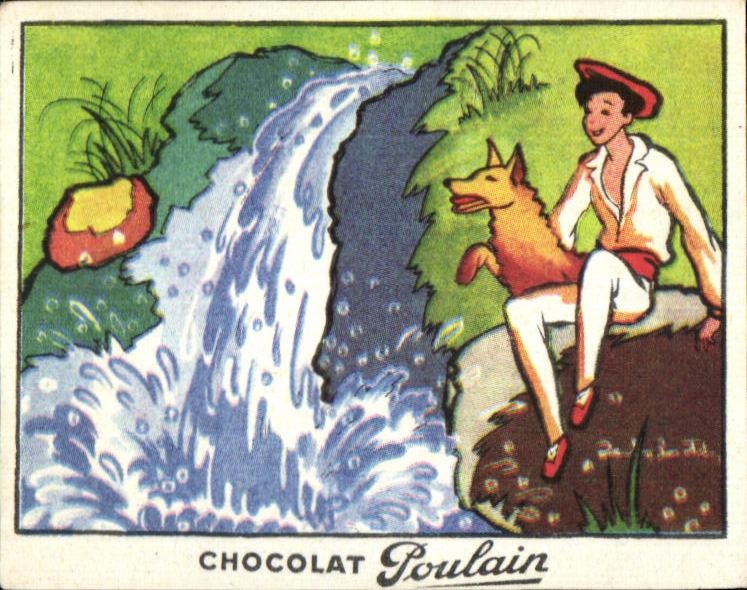 Image Chocolate Foal My youths Dog