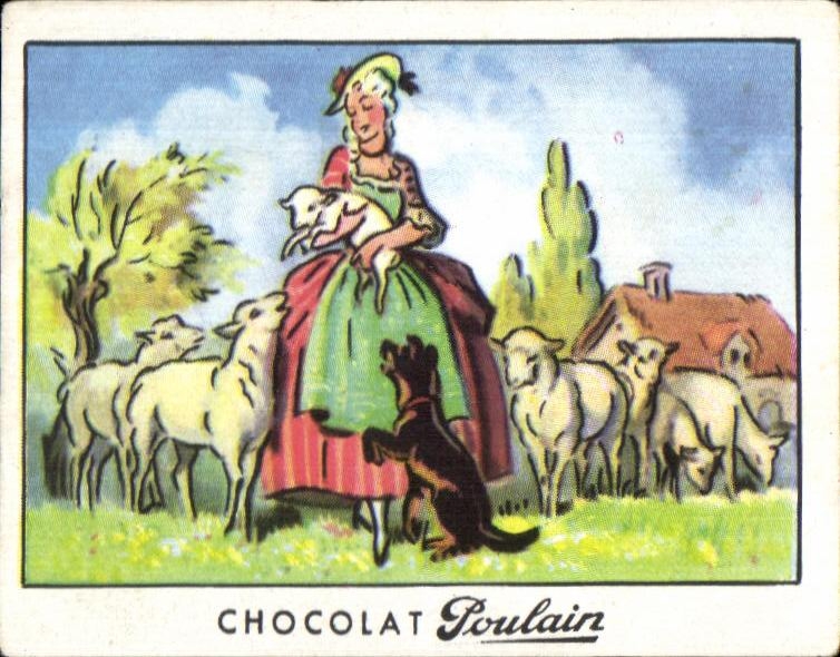 Image Chocolat Foal He was a Moutons shepherdess