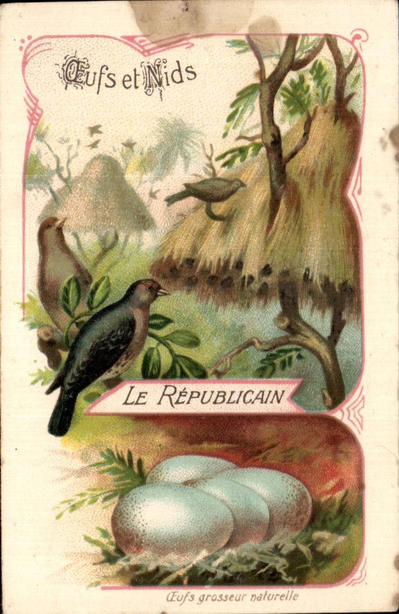 Chromo Le Republicain Le passereaux