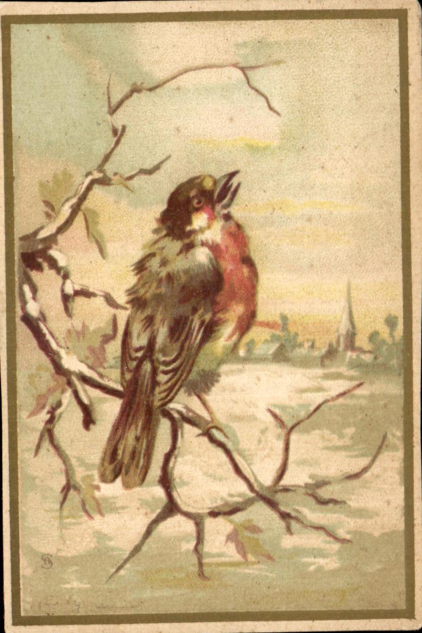 Chromo Oiseau