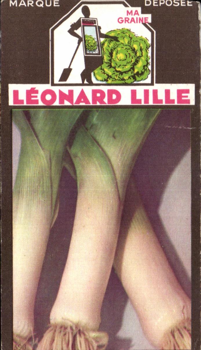 Image Flowers Leonard Lille Leek